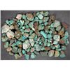Image 2 : Rough Turquoise, No. 8 Mine of Nevada [194007]