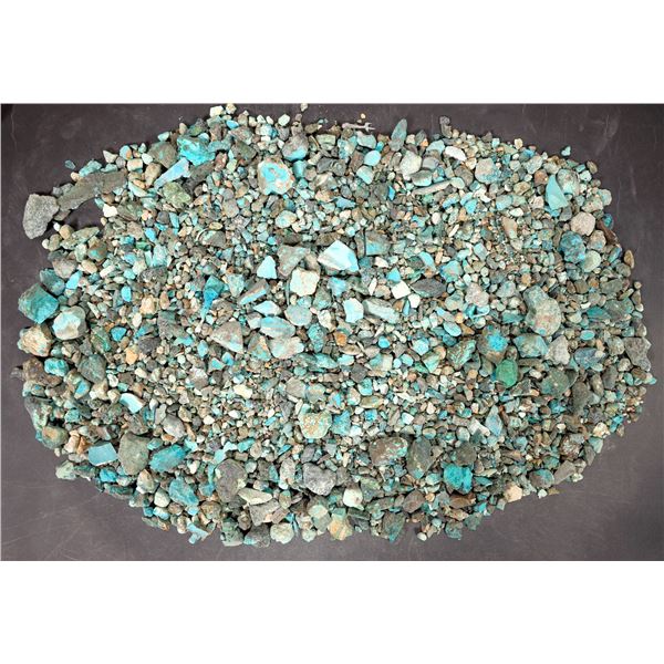 Rough Turquoise, No. 8 Mine of Nevada [194014]