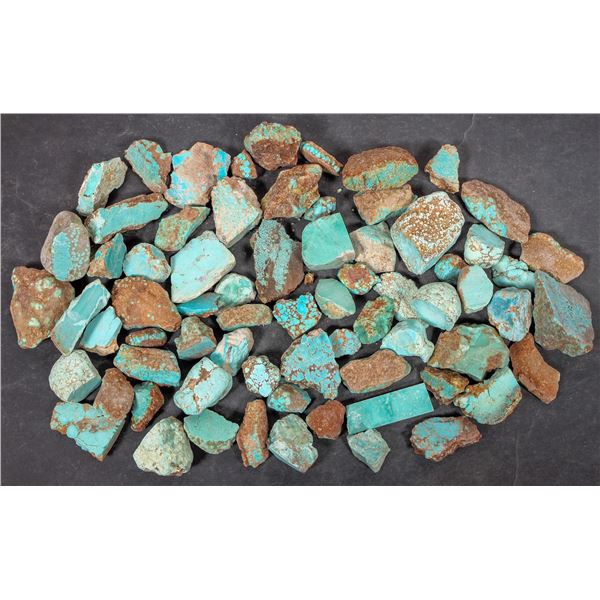 Rough Turquoise, No. 8 Mine of Nevada [194026]