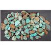 Image 1 : Rough Turquoise, No. 8 Mine of Nevada [194026]