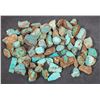 Image 2 : Rough Turquoise, No. 8 Mine of Nevada [194026]