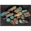 Image 1 : Rough Turquoise, No. 8 Mine of Nevada [194030]