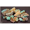 Image 2 : Rough Turquoise, No. 8 Mine of Nevada [194030]