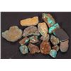 Image 3 : Rough Turquoise, No. 8 Mine of Nevada [194030]
