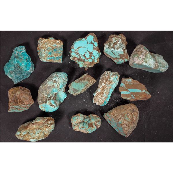 Rough Turquoise, No. 8 Mine of Nevada [194048]