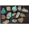 Image 1 : Rough Turquoise, No. 8 Mine of Nevada [194048]