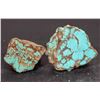 Image 2 : Rough Turquoise, No. 8 Mine of Nevada [194048]