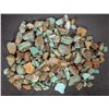 Image 2 : Rough Turquoise, No. 8 Mine of Nevada [194051]