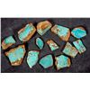 Image 1 : Spiderweb Turquoise Slabs, No. 8 Mine of Nevada [194032]