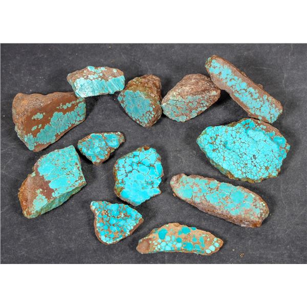 Spiderweb Turquoise, Cut, No. 8 Mine of Nevada [194041]