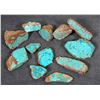 Image 1 : Spiderweb Turquoise, Cut, No. 8 Mine of Nevada [194041]