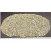 Image 2 : Turquoise Grains, No. 8 Mine of Nevada [193909]