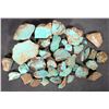 Image 1 : Turquoise Nuggets, Cut, No. 8 Mine of Nevada [194005]