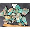 Image 2 : Turquoise - No. 8 Mine Nevada, Large [189269]