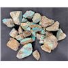 Image 2 : Turquoise - No. 8 Mine Nevada, Quality [189276]