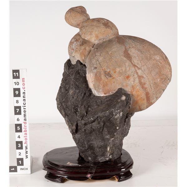Chinese Viewing Stone - Yadan Stone [193505]