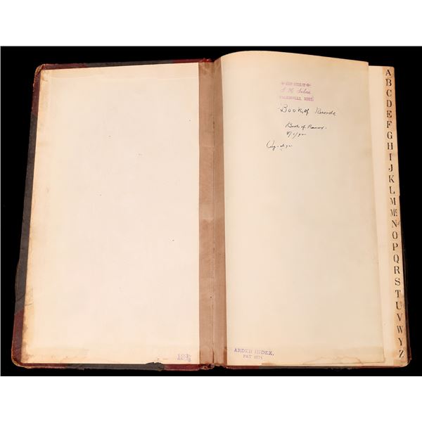 Walkerville, 1892-1894 Assayer's Ledger [174947]