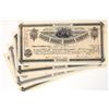 Image 1 : Silver Nugget Mining Stocks, 4, 1881 [194072]