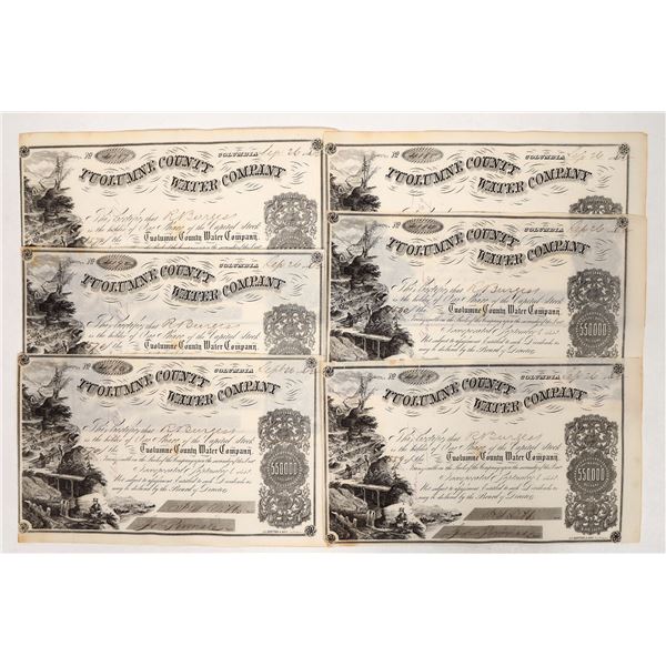 Tuolumne County Gold Rush-Era Stocks, 1862 [191915]