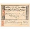 Image 1 : Mount Alpine Gold Co. Stock Cert, c1864 [191315]