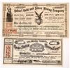 Image 1 : Reese River District Territorial Mining Stock Pair [173837]