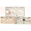 Image 1 : Palmyra Nevada Territorial Stock Certificates [173777]