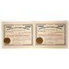Image 1 : Electric Dice Game Company Stocks, 2 [193945]