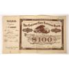 Image 1 : 1875 Carson City Savings Bank Stock to AW Pray, Founder of Glenbrook, Lake Tahoe [192874]