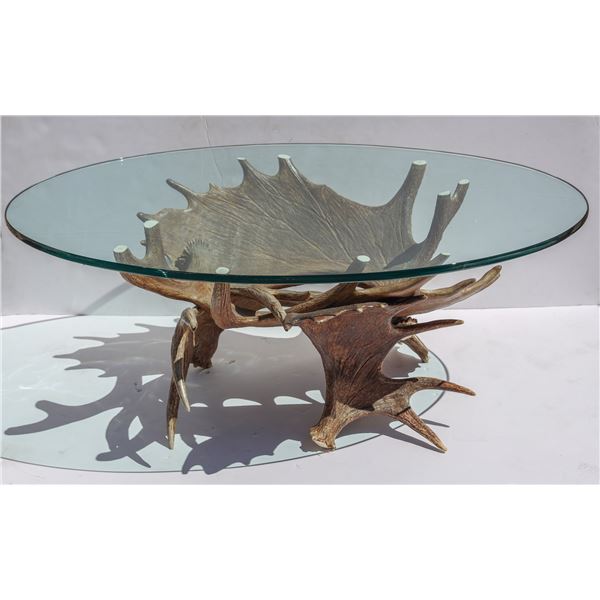 Taxidermy Art: Mule Deer Antler Glass Coffee Table [184455]
