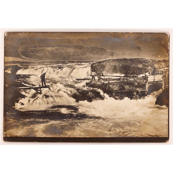 Native American Salmon Fishing Photo by Gifford, 1899 [187447]
