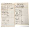 Image 1 : Frank James Trial Newspaper Group, 1883 [193673]