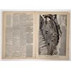 Image 2 : Frank Leslie's Illustrated Newspaper, Jesse James Killed [193861]