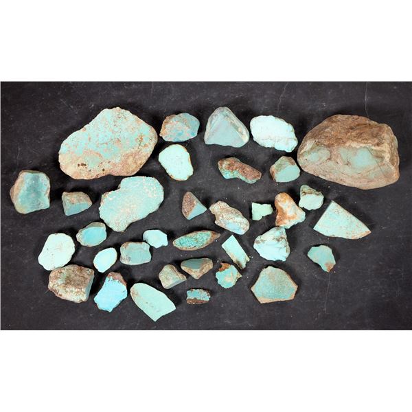 Rough Turquoise, Cut, No. 8 Mine of Nevada [193913]