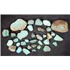 Image 1 : Rough Turquoise, Cut, No. 8 Mine of Nevada [193913]