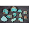 Image 1 : Rough Turquoise, Cut, No. 8 Mine of Nevada [194050]
