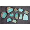 Image 2 : Rough Turquoise, Cut, No. 8 Mine of Nevada [194050]