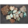 Image 1 : Rough Turquoise, Large, No. 8 Mine of Nevada [193910]