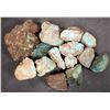 Image 2 : Rough Turquoise, Large, No. 8 Mine of Nevada [193910]