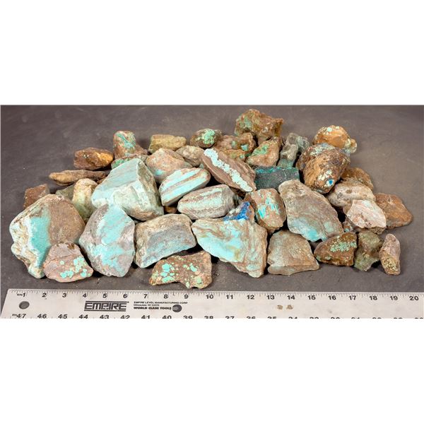 Rough Turquoise, No. 8 Mine of Nevada [193831]