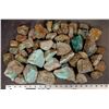 Image 2 : Rough Turquoise, No. 8 Mine of Nevada [193831]