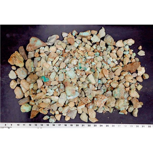 Rough Turquoise, No. 8 Mine of Nevada [193849]