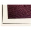 Image 3 : Photograph of Fireworks Over Water by James Stroud - Framed [184072]
