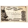 Image 1 : Tuolumne County Water Co. Stock, John Sine Signature [192204]