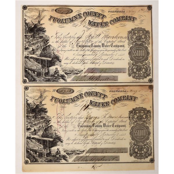 Tuolumne County Water Stocks (2) [192695]