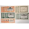 Image 1 : Yerington Mining Stocks, 5 Different, 25 Total [193889]