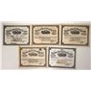 Image 1 : Belt RR & Stock Yard Stocks, 5, 1902-39 [192628]