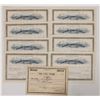 Image 1 : California Store Stocks, 9 [192303]