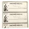 Image 1 : Elk Hill Coal Stock Pair, Rare [193708]