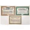 Image 1 : Fisheries Stock Trio, 1919-1930 [192177]
