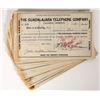 Image 1 : Guadalajara Telephone Co Stocks, 43, 1882 [193975]